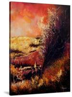 Fall 67-Pol Ledent-Stretched Canvas