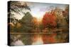 Fall Aflame-Jessica Jenney-Stretched Canvas