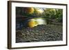 Fall Again-Bruce Dumas-Framed Giclee Print