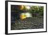 Fall Again-Bruce Dumas-Framed Giclee Print