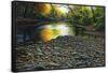 Fall Again-Bruce Dumas-Framed Stretched Canvas