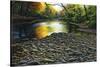 Fall Again-Bruce Dumas-Stretched Canvas