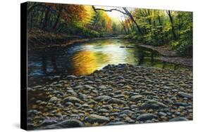 Fall Again-Bruce Dumas-Stretched Canvas