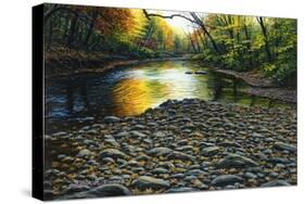 Fall Again-Bruce Dumas-Stretched Canvas