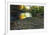 Fall Again-Bruce Dumas-Framed Giclee Print