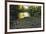 Fall Again-Bruce Dumas-Framed Giclee Print