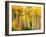 Fall Aspen Trees along Highway 2, Washington, USA-Janell Davidson-Framed Photographic Print