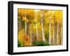 Fall Aspen Trees along Highway 2, Washington, USA-Janell Davidson-Framed Photographic Print