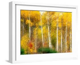 Fall Aspen Trees along Highway 2, Washington, USA-Janell Davidson-Framed Photographic Print