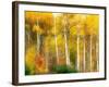 Fall Aspen Trees along Highway 2, Washington, USA-Janell Davidson-Framed Photographic Print