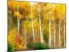 Fall Aspen Trees along Highway 2, Washington, USA-Janell Davidson-Mounted Photographic Print