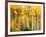 Fall Aspen Trees along Highway 2, Washington, USA-Janell Davidson-Framed Photographic Print