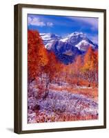 Fall Aspen Trees and Early Snow, Timpanogos, Wasatch Mountains, Utah, USA-Howie Garber-Framed Premium Photographic Print