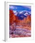 Fall Aspen Trees and Early Snow, Timpanogos, Wasatch Mountains, Utah, USA-Howie Garber-Framed Premium Photographic Print