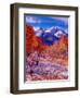 Fall Aspen Trees and Early Snow, Timpanogos, Wasatch Mountains, Utah, USA-Howie Garber-Framed Photographic Print