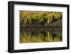 Fall aspen trees reflected on Crystal Lake at sunrise, Ouray, Colorado-Adam Jones-Framed Photographic Print