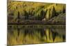 Fall aspen trees reflected on Crystal Lake at sunrise, Ouray, Colorado-Adam Jones-Mounted Photographic Print