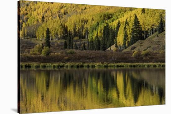 Fall aspen trees reflected on Crystal Lake at sunrise, Ouray, Colorado-Adam Jones-Stretched Canvas