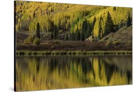 Fall aspen trees reflected on Crystal Lake at sunrise, Ouray, Colorado-Adam Jones-Stretched Canvas