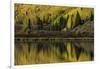 Fall aspen trees reflected on Crystal Lake at sunrise, Ouray, Colorado-Adam Jones-Framed Photographic Print