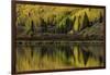 Fall aspen trees reflected on Crystal Lake at sunrise, Ouray, Colorado-Adam Jones-Framed Photographic Print