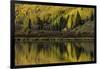 Fall aspen trees reflected on Crystal Lake at sunrise, Ouray, Colorado-Adam Jones-Framed Photographic Print