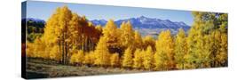 Stretched Canvas