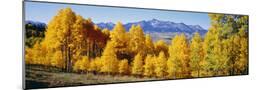 Wood Mount
