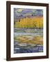 Fall Aspens Reflecting in a Pond-Don Paulson-Framed Giclee Print