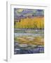 Fall Aspens Reflecting in a Pond-Don Paulson-Framed Giclee Print