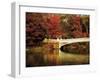 Fall at Bow Bridge-Jessica Jenney-Framed Giclee Print