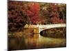 Fall at Bow Bridge-Jessica Jenney-Mounted Giclee Print