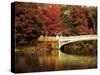 Fall at Bow Bridge-Jessica Jenney-Stretched Canvas