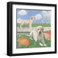 Fall at the Farm II-James Wiens-Framed Art Print