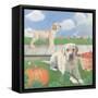 Fall at the Farm II-James Wiens-Framed Stretched Canvas