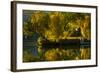 Fall at the Lake-Sally Linden-Framed Photographic Print