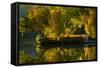 Fall at the Lake-Sally Linden-Framed Stretched Canvas