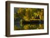 Fall at the Lake-Sally Linden-Framed Photographic Print