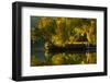 Fall at the Lake-Sally Linden-Framed Photographic Print