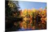 Fall at Three Lakes 2-Alan Hausenflock-Mounted Photographic Print