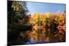 Fall at Three Lakes 2-Alan Hausenflock-Mounted Photographic Print