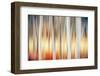 Fall Birches 2-Ursula Abresch-Framed Photographic Print