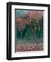 Fall Birches I-Steven Maxx-Framed Photographic Print