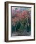 Fall Birches II-Steven Maxx-Framed Photographic Print