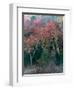 Fall Birches II-Steven Maxx-Framed Photographic Print
