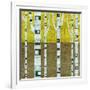 Fall Birches-Michelle Calkins-Framed Art Print