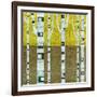 Fall Birches-Michelle Calkins-Framed Art Print