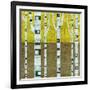 Fall Birches-Michelle Calkins-Framed Art Print