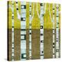Fall Birches-Michelle Calkins-Stretched Canvas