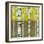 Fall Birches-Michelle Calkins-Framed Art Print